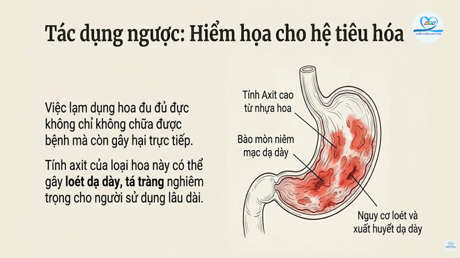 HTV Chiến thắng ung thư: Thực hư “thần dược” hoa đu đủ đực- Ảnh 3.