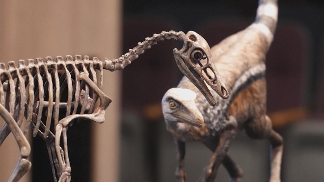 Argentina: Phát hiện hóa thạch khủng long nhỏ nhất thế giới - Ảnh 5.