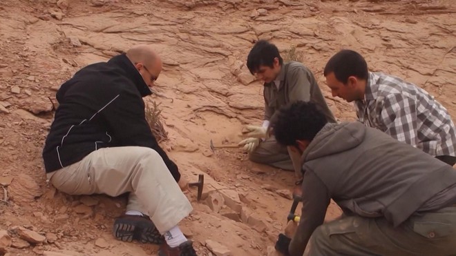 Argentina: Phát hiện hóa thạch khủng long nhỏ nhất thế giới - Ảnh 1.