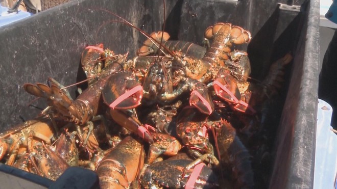 Tin Thế giới 24 Giờ ngày 28/2/2026 | Iran tấn công trả đũa Mỹ - Israel - Ảnh 8.