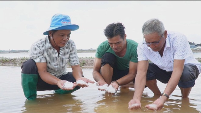 60 Giây ngày 28/2/2026 | Việt Nam lần đầu đấu giá 50 tên miền “.vn” hai ký tự - Ảnh 3.