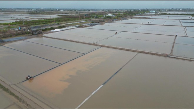 60 Giây ngày 28/2/2026 | Việt Nam lần đầu đấu giá 50 tên miền “.vn” hai ký tự - Ảnh 4.