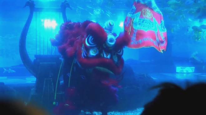 Trung Quốc: Múa lân dưới nước mừng năm mới  - Ảnh 4.