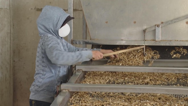 Thời sự HTV ngày 3/2/2026 | Thiếu nguyên liệu, doanh nghiệp chế biến thủy sản hoạt động cầm chừng - Ảnh 2.