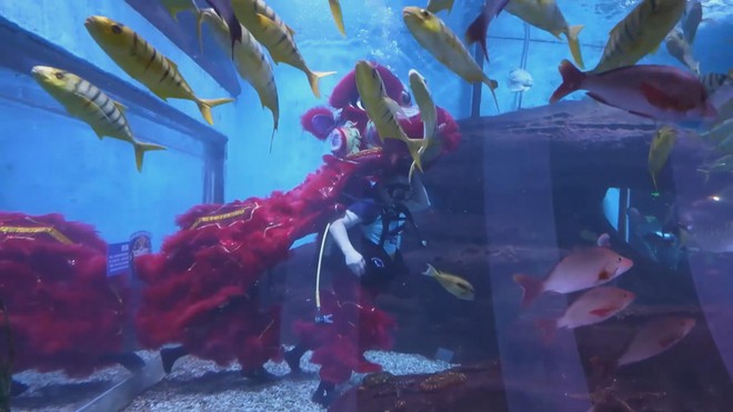 Trung Quốc: Múa lân dưới nước mừng năm mới  - Ảnh 2.