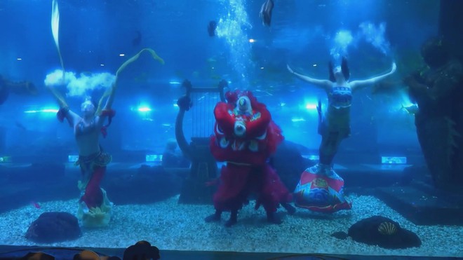 Trung Quốc: Múa lân dưới nước mừng năm mới  - Ảnh 3.