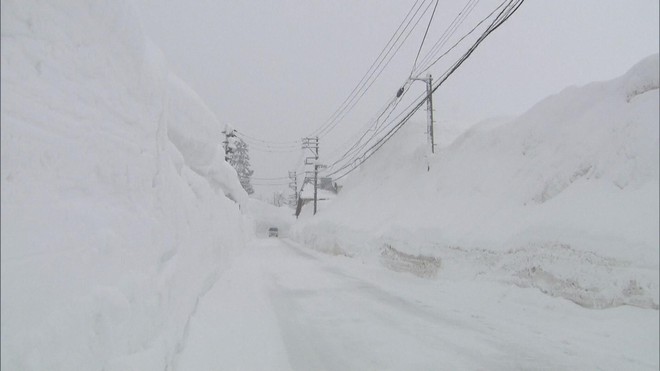 Nhật Bản: Tuyết rơi dày, hàng chục người thiệt mạng - Ảnh 1.