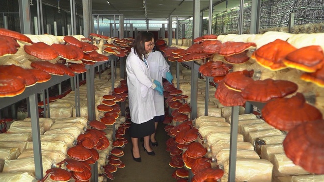 Vinh danh 11 cá nhân tiêu biểu nhận Giải thưởng Tôn Đức Thắng lần thứ 25 - Ảnh 2.