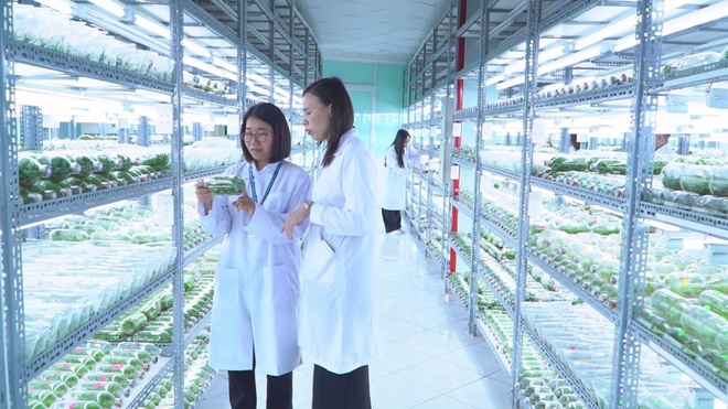 Vinh danh 11 cá nhân tiêu biểu nhận Giải thưởng Tôn Đức Thắng lần thứ 25 - Ảnh 5.