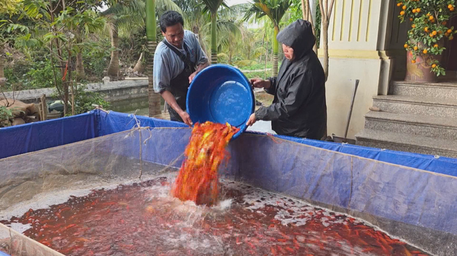 60 Giây ngày 7/2/2026 | Tân Sơn Nhất sẽ lập kỷ lục chưa từng có: hơn 1.000 chuyến bay/ngày dịp Tết - Ảnh 3.
