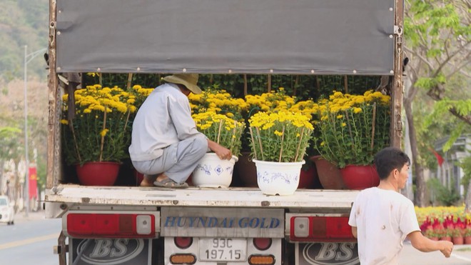 Nhà vườn TP. Hồ Chí Minh nhộn nhịp bước vào mùa cao điểm- Ảnh 4.