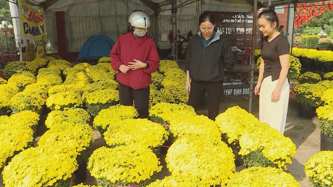 Vươn khơi - Ngày 8/2/2026 | Để người lao động vui đón Tết đoàn viên- Ảnh 1.