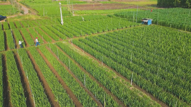 60 Giây ngày 28/1/2026 | Lan tỏa nét đẹp Tết cổ truyền với thanh thiếu nhi - Ảnh 4.