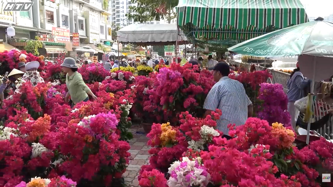  THTT Đờn ca tài tử "Trên bến dưới thuyền" - 19g ngày 12/2 trên HTV1 - Ảnh 4.