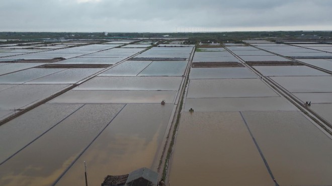 60 Giây ngày 1/3/2026 | Mưa trái mùa gây thiệt hại nặng cho diêm dân Cà Mau- Ảnh 1.