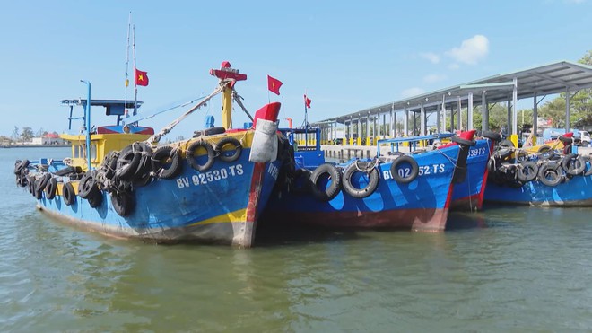 Nhiều tàu cá nằm bờ vì giá nhiên liệu tăng cao - Ảnh 2.