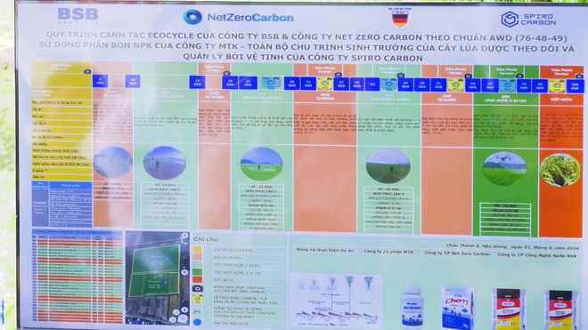 Thủ tướng Chính phủ yêu cầu bảo đảm tiêu thụ lúa hàng hóa cho nông dân - Ảnh 2.