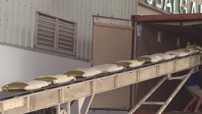 Thủ tướng Chính phủ yêu cầu bảo đảm tiêu thụ lúa hàng hóa cho nông dân - Ảnh 4.