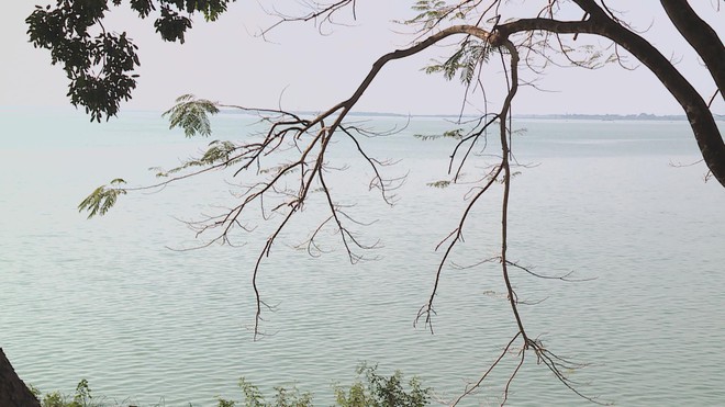 Đánh thức tiềm năng du lịch Dầu Tiếng - Điểm đến sinh thái mới ở phía Bắc TP. Hồ Chí Minh - Ảnh 3.