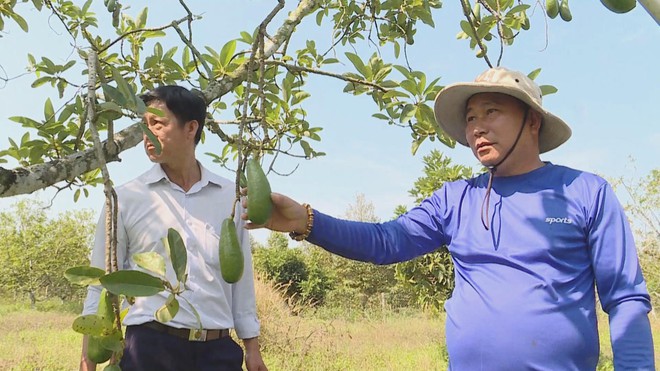 OCOP - Bước đi của nông nghiệp bền vững - Ảnh 2.