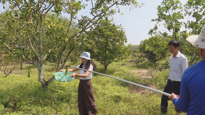 OCOP - Bước đi của nông nghiệp bền vững - Ảnh 3.