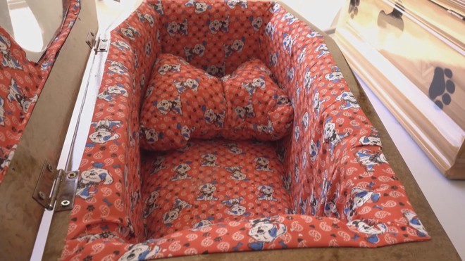 El Salvador: Dịch vụ mai táng đặc biệt cho thú cưng - Ảnh 2.