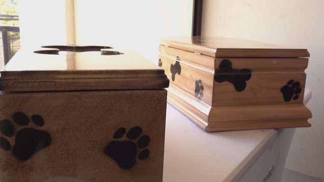 El Salvador: Dịch vụ mai táng đặc biệt cho thú cưng - Ảnh 3.