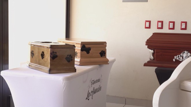 El Salvador: Dịch vụ mai táng đặc biệt cho thú cưng - Ảnh 6.