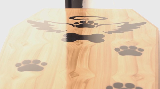 El Salvador: Dịch vụ mai táng đặc biệt cho thú cưng - Ảnh 7.