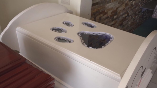 El Salvador: Dịch vụ mai táng đặc biệt cho thú cưng - Ảnh 8.