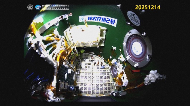 ''Bướm vũ trụ” lột kén thành công ngoài không gian - Ảnh 3.