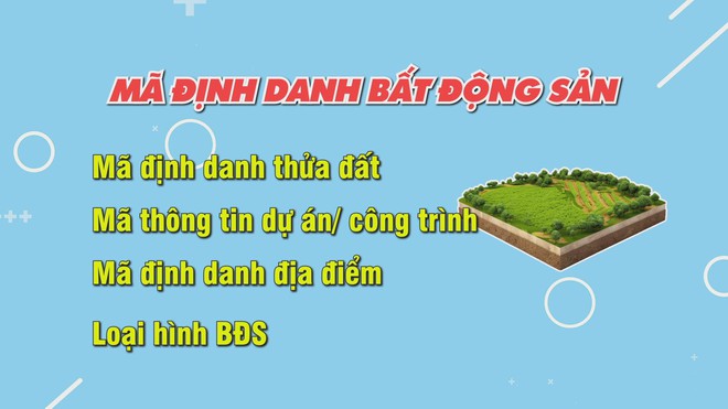 TP. Hồ Chí Minh chuẩn hóa dữ liệu đất đai để triển khai mã định danh bất động sản - Ảnh 5.