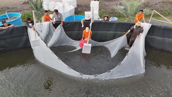 Đa dạng hóa thị trường thủy sản nhằm giảm rủi ro - Ảnh 11.