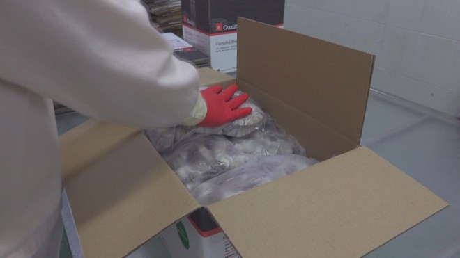 Đa dạng hóa thị trường thủy sản nhằm giảm rủi ro - Ảnh 6.