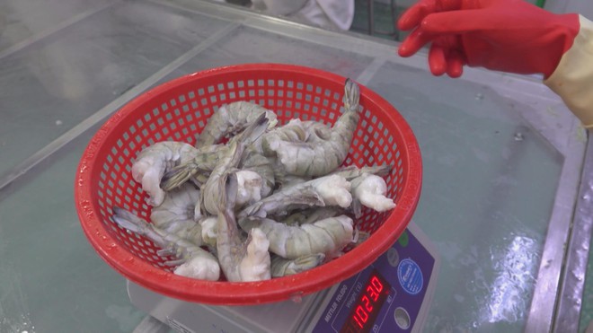 Đa dạng hóa thị trường thủy sản nhằm giảm rủi ro - Ảnh 7.