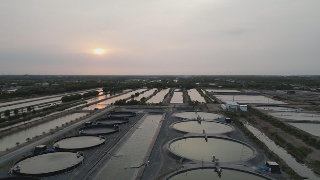 Đa dạng hóa thị trường thủy sản nhằm giảm rủi ro - Ảnh 9.