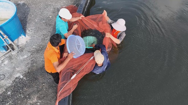 Đa dạng hóa thị trường thủy sản nhằm giảm rủi ro - Ảnh 12.