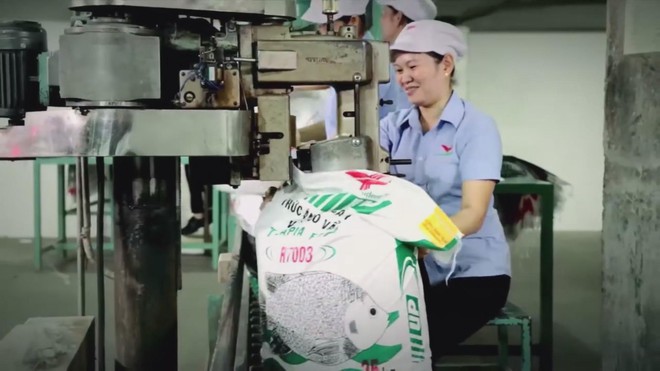 Đa dạng hóa thị trường thủy sản nhằm giảm rủi ro - Ảnh 4.