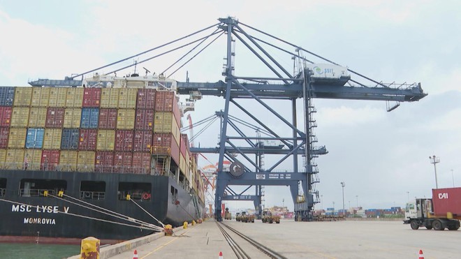 Áp lực chi phí logistics và bài toán tự làm mới mình của các cảng tại TP. Hồ Chí Minh - Ảnh 10.