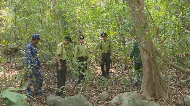 60 Giây ngày 20/3/2026 | Chủ động phòng cháy rừng Cụm đảo Hòn Khoai - Ảnh 2.