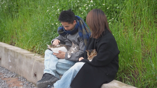 Công viên dành riêng cho mèo ở Trùng Khánh, Trung Quốc - Ảnh 8.