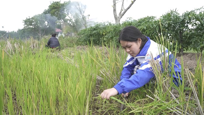 Mái ấm gia đình Việt: Không có cha, cô bé sống trong nỗi lo bơ vơ khi mẹ bệnh - Ảnh 2.