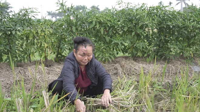 Mái ấm gia đình Việt: Không có cha, cô bé sống trong nỗi lo bơ vơ khi mẹ bệnh - Ảnh 1.
