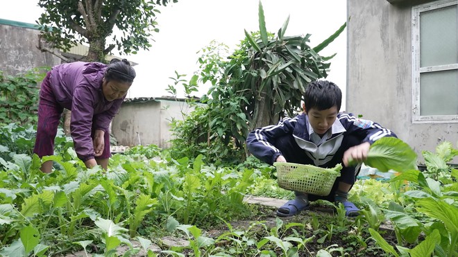 Mái ấm gia đình Việt: Cậu bé mồ côi chỉ mong có tiền mua thuốc cho ông bà - Ảnh 1.