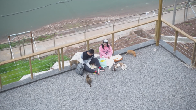 Công viên dành riêng cho mèo ở Trùng Khánh, Trung Quốc - Ảnh 9.