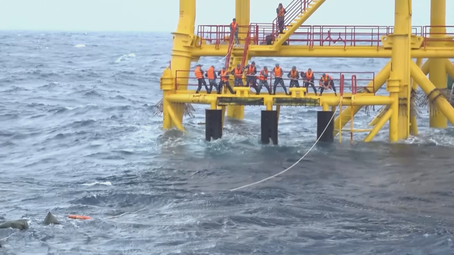 Vùng 2 hải quân đón nhận huân chương, tiểu đoàn DK1 được phong anh hùng lần thứ 2 - Ảnh 5.