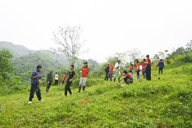 Gaia trồng 17.000 cây rừng hưởng ứng Ngày thế giới trồng cây 21/3- Ảnh 3.