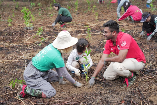 Gaia trồng 17.000 cây rừng hưởng ứng Ngày thế giới trồng cây 21/3- Ảnh 1.