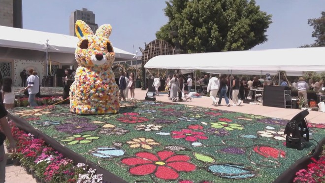 Lễ hội hoa mùa xuân kêu gọi bảo tồn loài thỏ Teporingo ở Mexico - Ảnh 1.