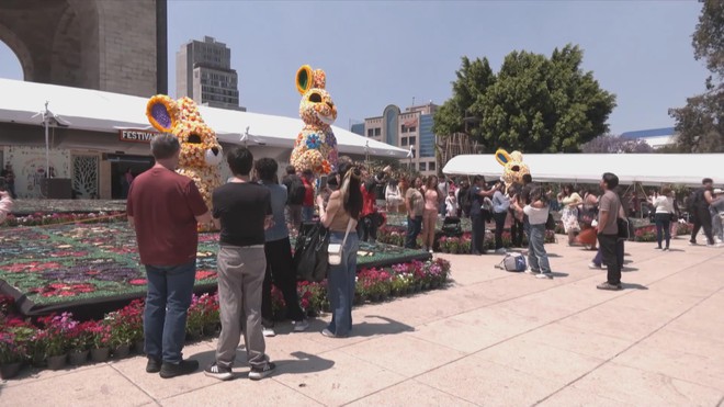 Lễ hội hoa mùa xuân kêu gọi bảo tồn loài thỏ Teporingo ở Mexico - Ảnh 4.